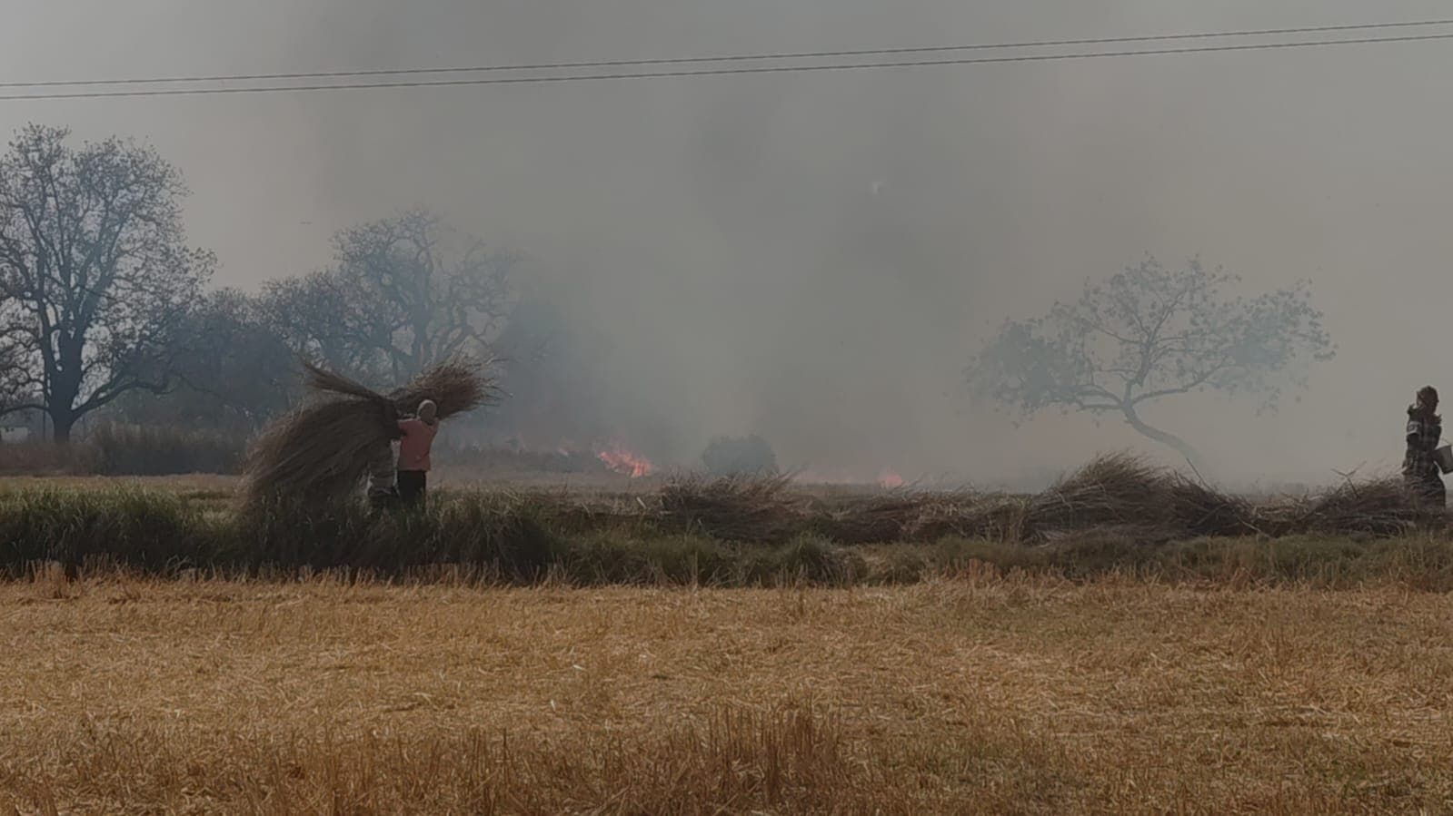 पड़ौली में खेत की आग ने बढ़ाया खतरा, दमकल न पहुंचने से