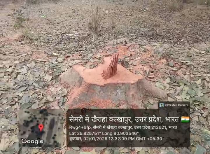 हरे पेड़ों पर चल रहा इलेक्ट्रॉनिक आरा, जिम्मेदार मौन