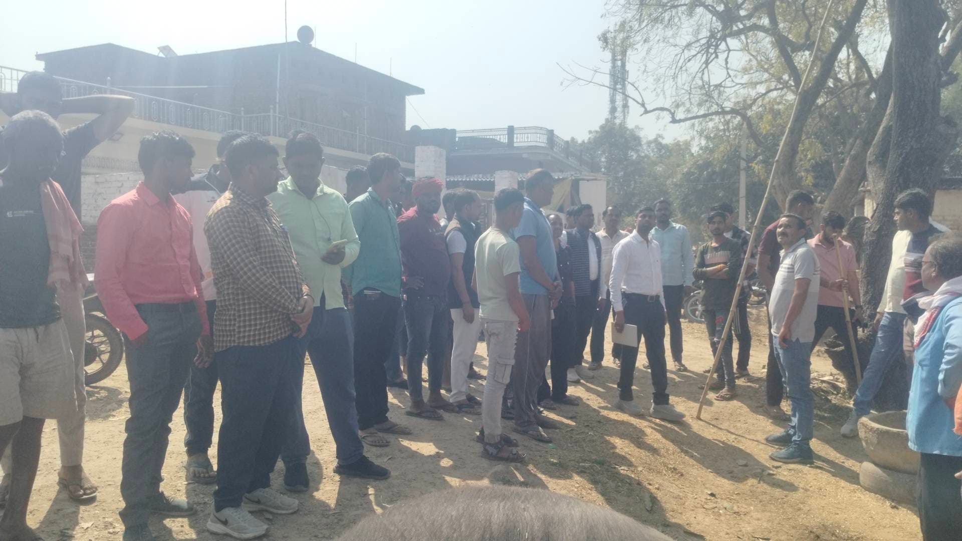 करंट की चपेट में आई कीमती भैंस, लापरवाही ने छीना गरीब किसान