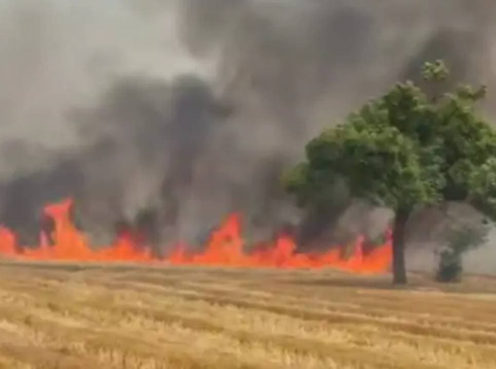 रुद्रपुर के एकौना थाना क्षेत्र के तिघरा परसिया सिवान में गुरुवार दोपहर लगी भीषण आग