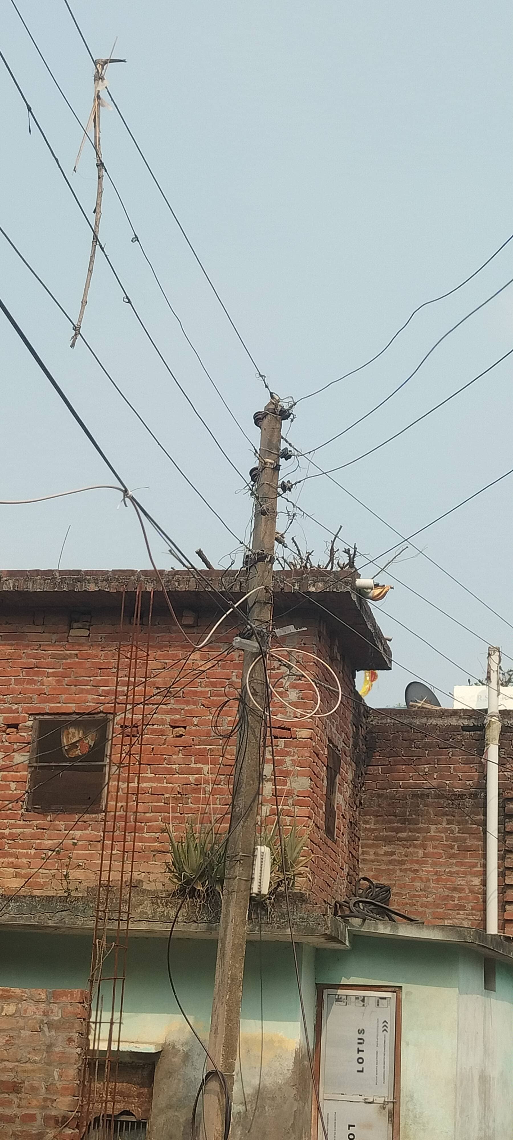 *बिजली कटौती और ट्रिपिंग से रुद्रपुर की जनता बेहाल, गर्मी में बढ़ी