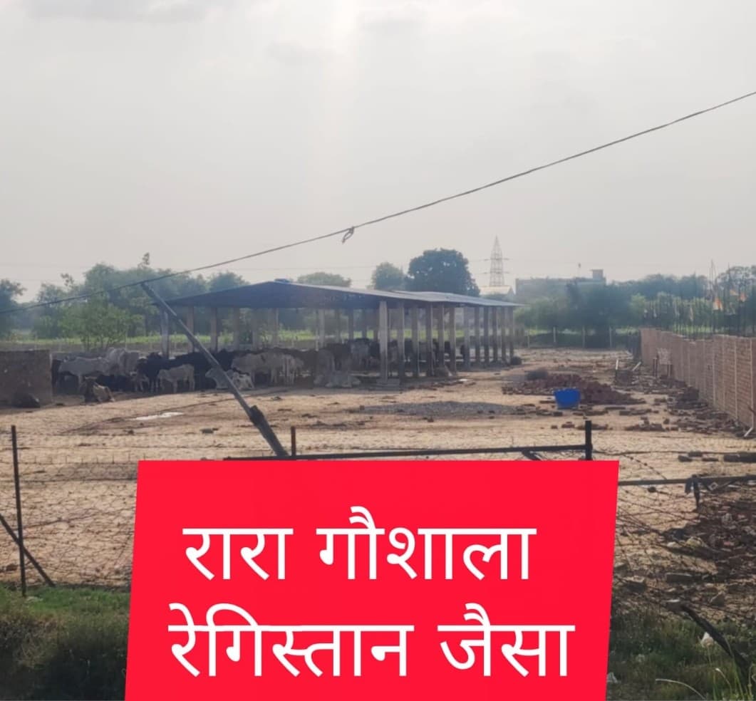 "किसान यूनियन के एजेंडे से बाहर हुए गोवंश, गौशालाओं की बदहाली पर कौन उठाएगा आवाज"
