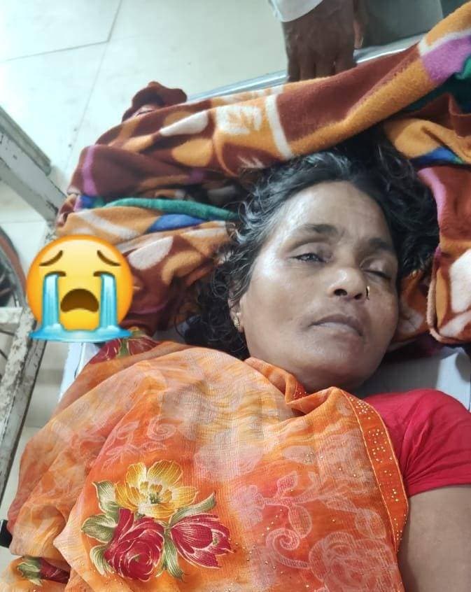 सुल्तानपुर-सर्प दंश से अधेड़ महिला की मौत। भोर में मवेशियों को चारा